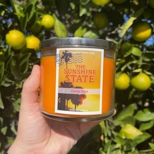 The sunshine state Florida Fresh bath and body works destination candle